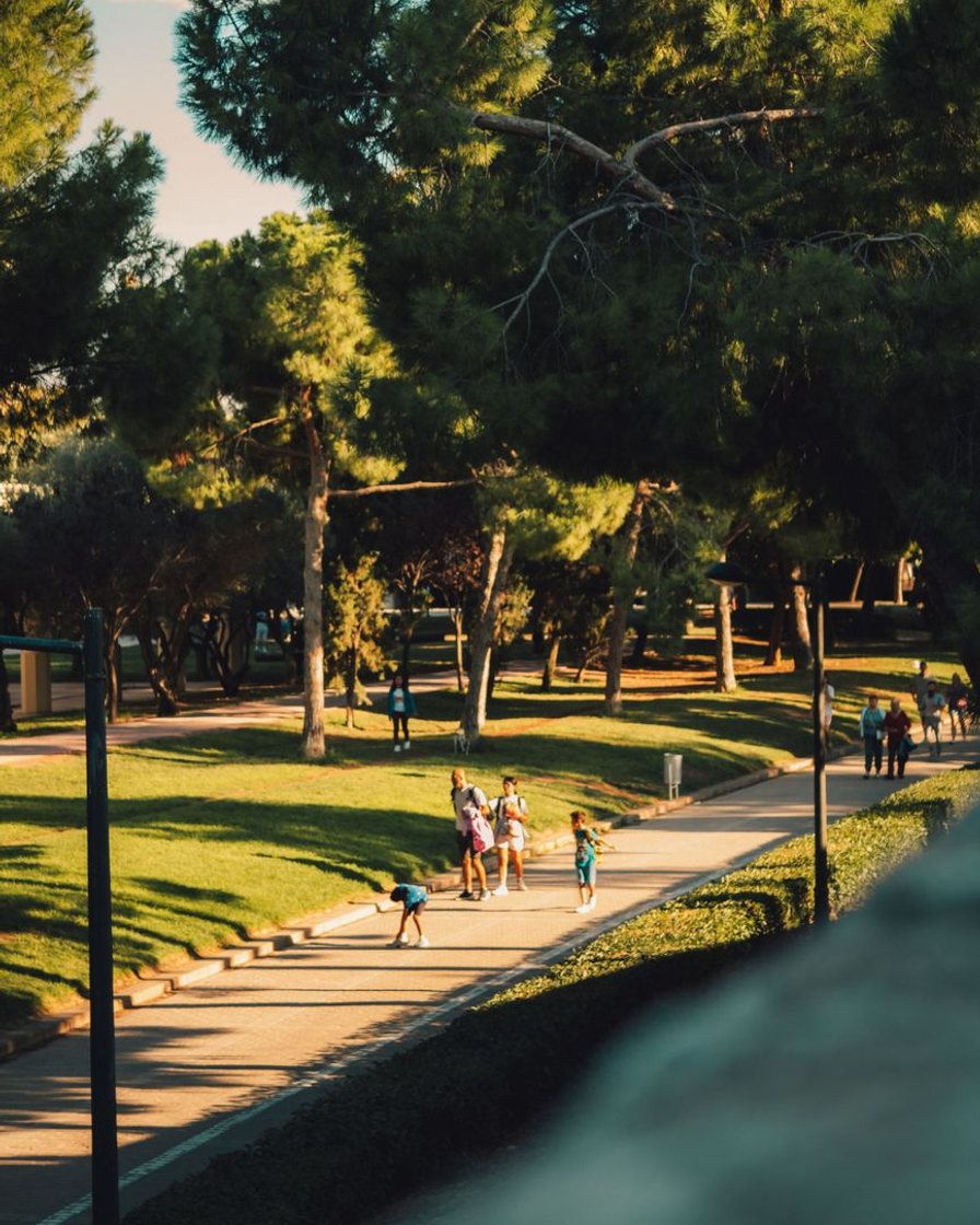 Jardín del Turia en Valencia visto desde un puente, con el antiguo cauce convertido en parque, corredores en el camino y palmeras a ambos lados
