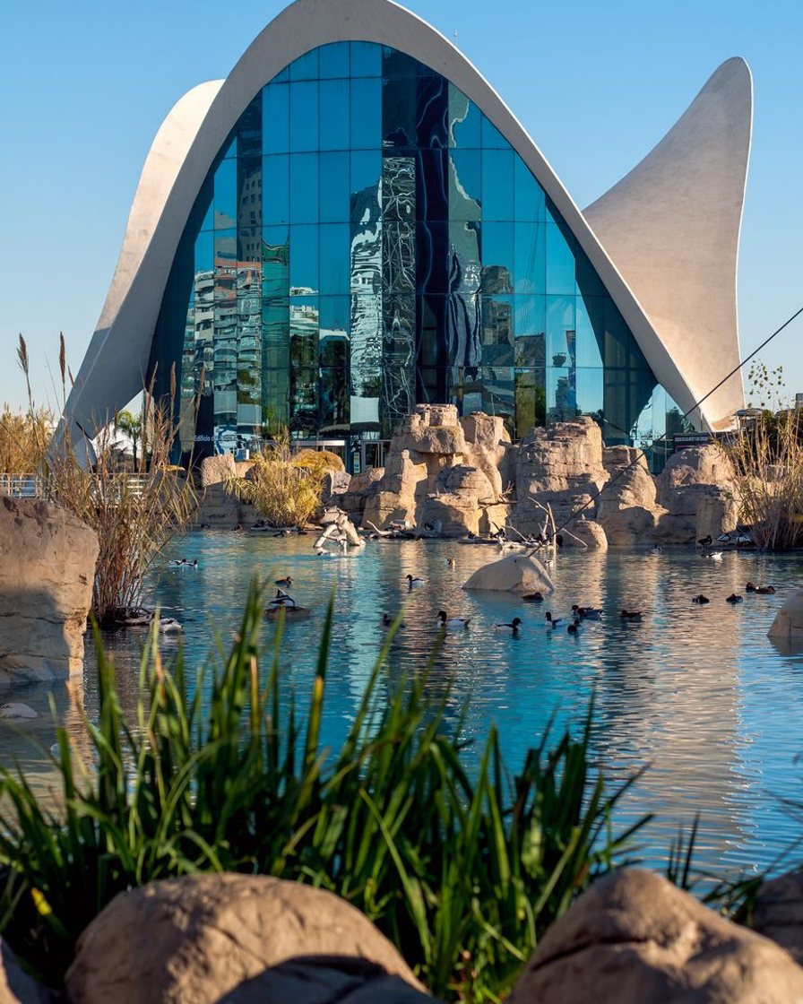 Edificio de entrada del Oceanogràfic de Valencia con su cubierta blanca de hormigón en forma de nenúfar reflejada en el estanque, visitantes haciendo cola
