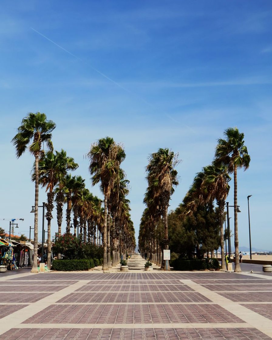 Paseo marítimo de la playa de la Malvarrosa en Valencia una tarde de domingo, con la arena ancha, gente paseando y las palmeras alineadas junto a las terrazas